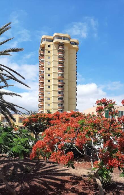 Estudio Coqueto Torres Del Sol Arona  Ngoại thất bức ảnh